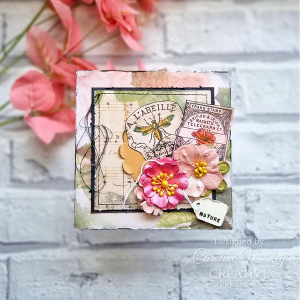 Snippets of Nature 4x6 Clear Stamp Set | Sam Poole
