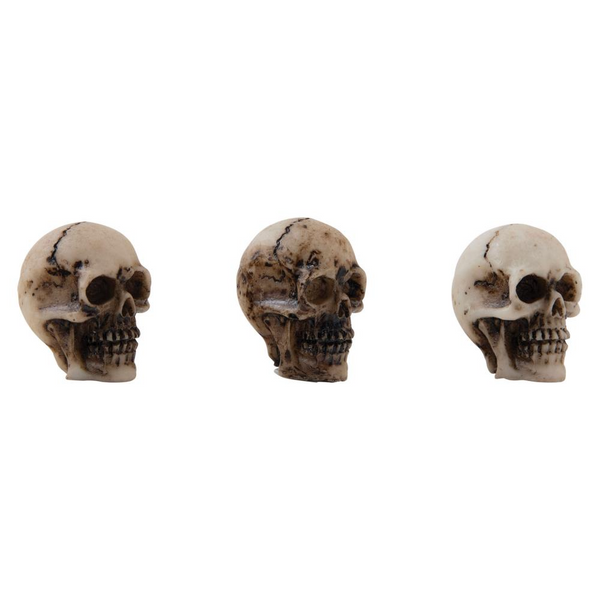 Crânes et os {Halloween 2023} | idée-ologie