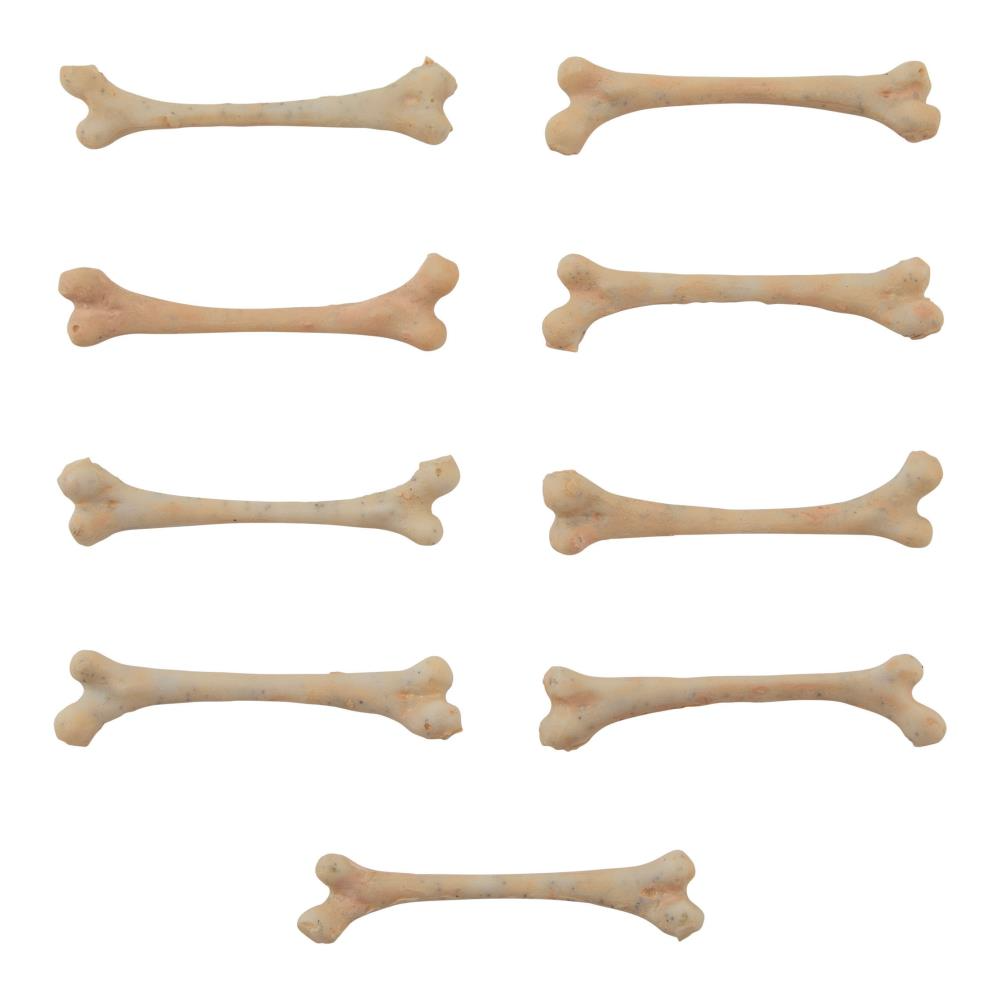 Skulls & Bones {Halloween 2023} | idea-ology