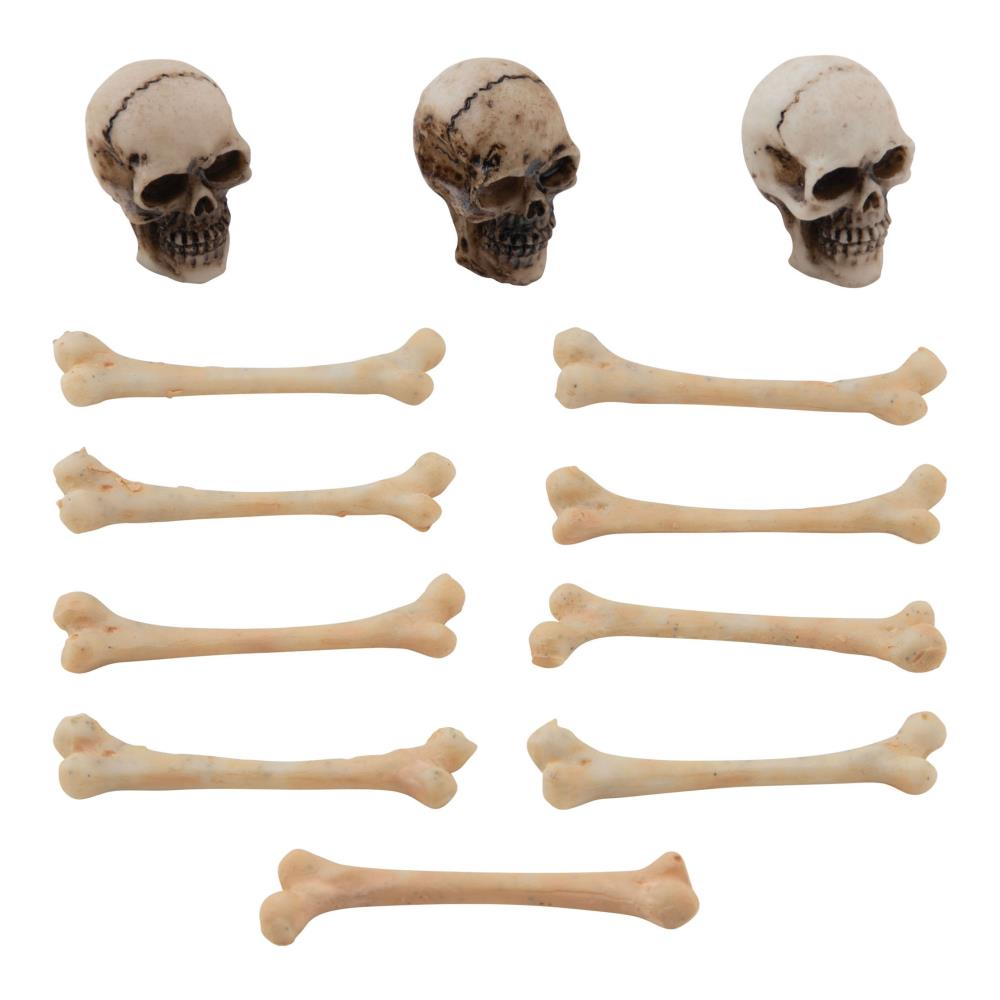 Skulls & Bones {Halloween 2023} | idea-ology