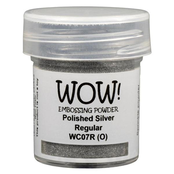 Polished Silver Embossing Powder