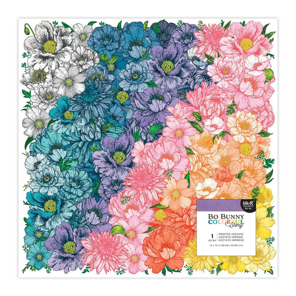 Colorful Story 12x12 Printed Acetate Sheet