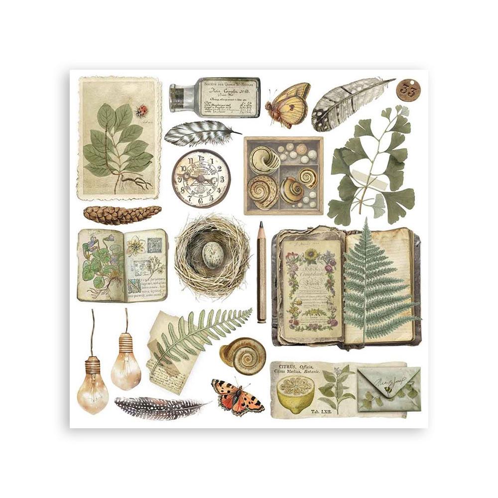 Herbarium Silvae 6x6 6pg Rub-on Kit