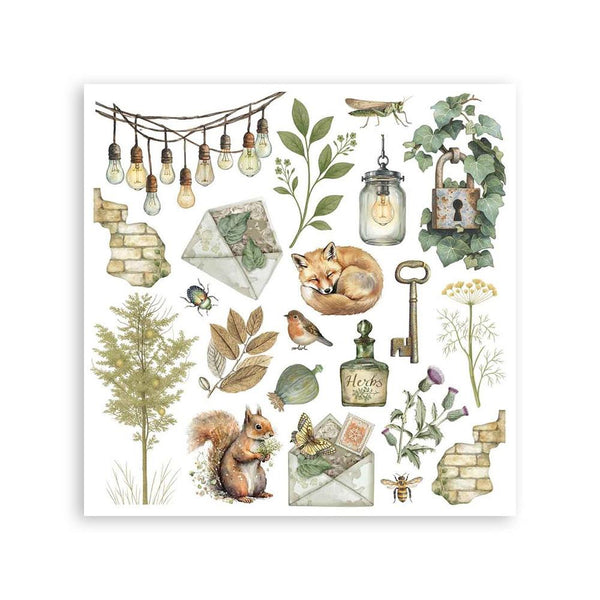 Herbarium Silvae 6x6 6pg Rub-on Kit