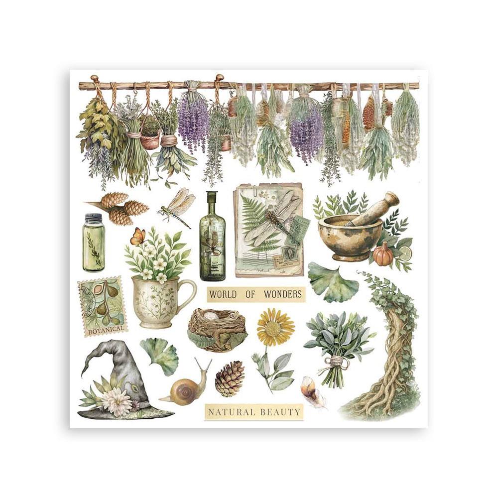 Herbarium Silvae 6x6 6pg Rub-on Kit