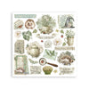 Herbarium Silvae 6x6 6pg Rub-on Kit
