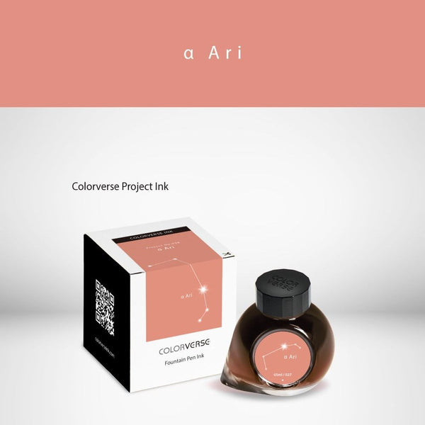 a Ari Fountain Pen Ink | Project Ink Vol. 5, No. 028