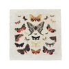 Dancing Butterflies 11x11 Art Print | Flora & Fauna Collection