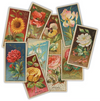 The Collector "Cigarette Cards" Ephemera Packs