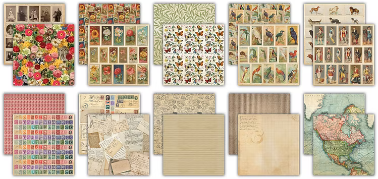 The Collector 12x12 Paper Pad