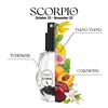 Mini Crystal-Infused Zodiac Perfume