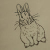 The Tale of Peter Rabbit Book Journal | Beatrix Potter 1902