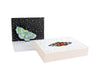 Wings Boxed Dimensional Notecard Set {clearance}