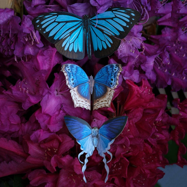 Lupine 3-Piece Set Butterfly Set