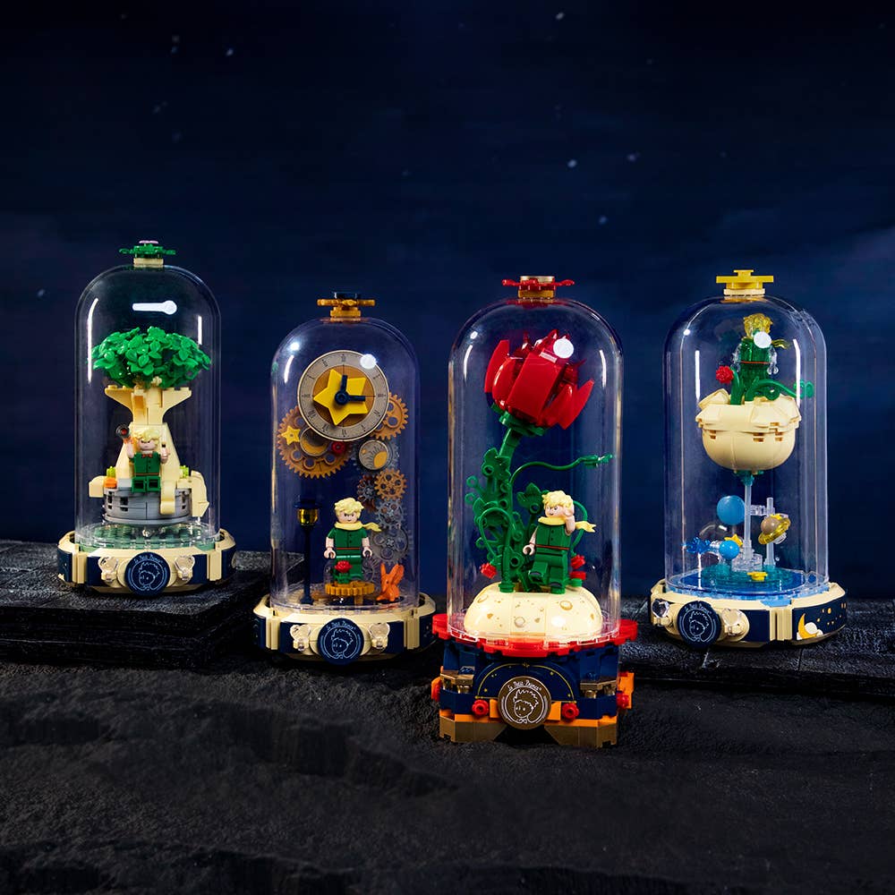 Time Travel Building Bricks | Le Petite Prince