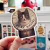 Stay Weird Elizabethan Cat 3" Vinyl Sticker