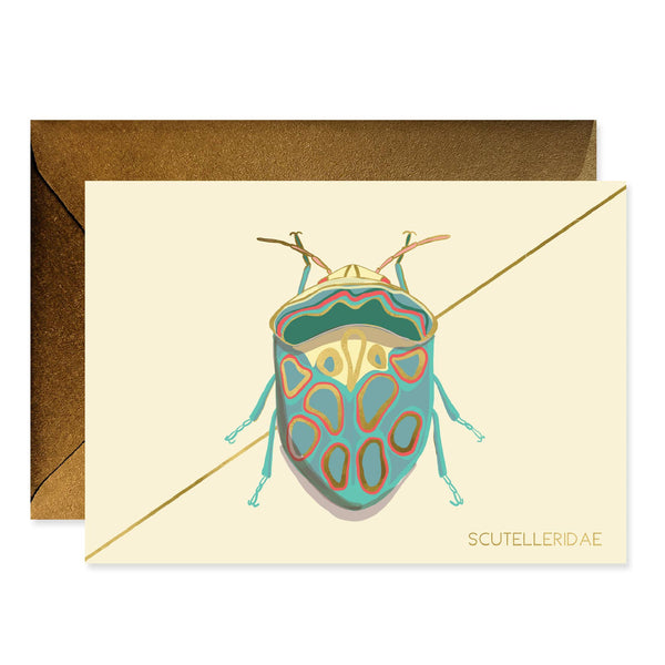 Teal Beetle Stationery Boxed Cards Set {clearance]
