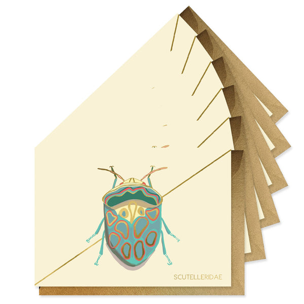 Teal Beetle Stationery Boxed Cards Set {clearance]