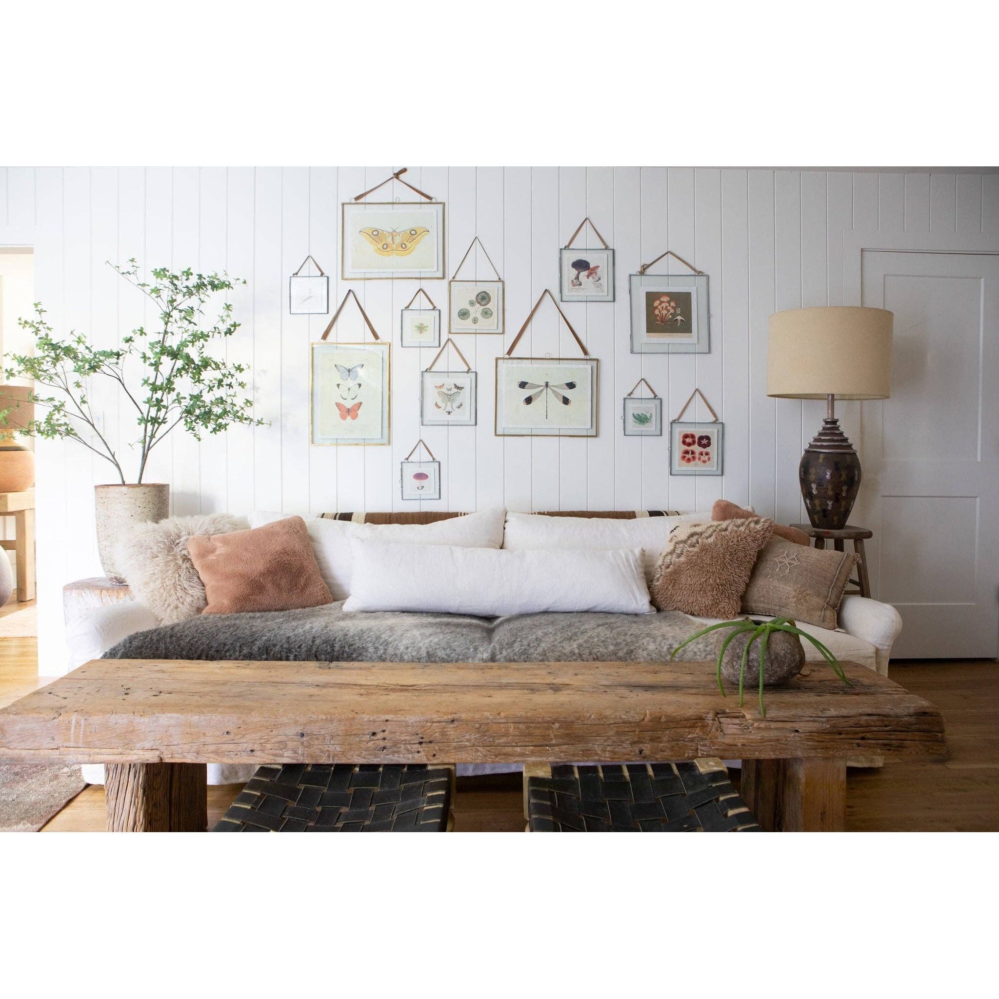 Red Pansies 8x8 Art Print | Flora & Fauna Collection