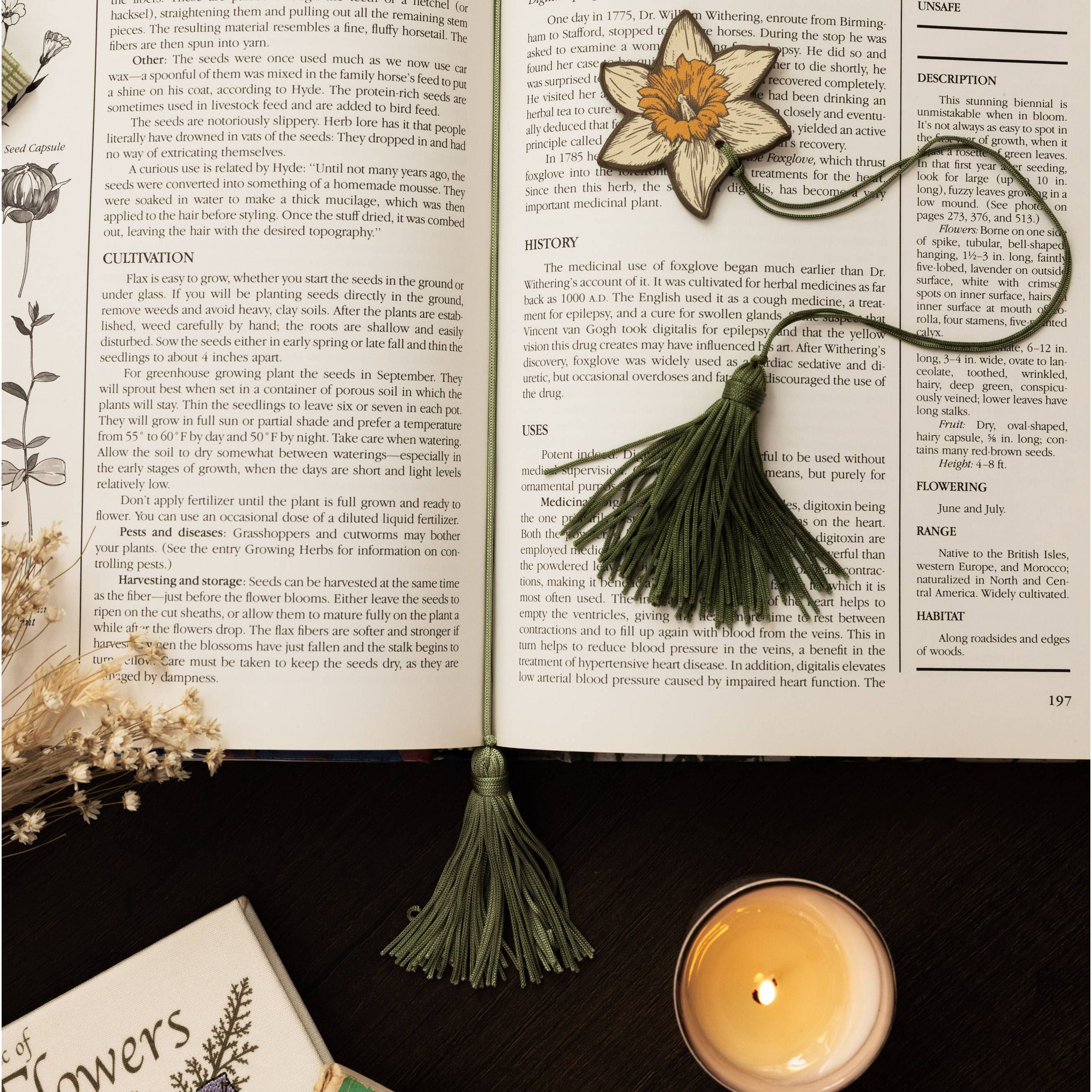 Wildflowers Tassel Bookmark Set