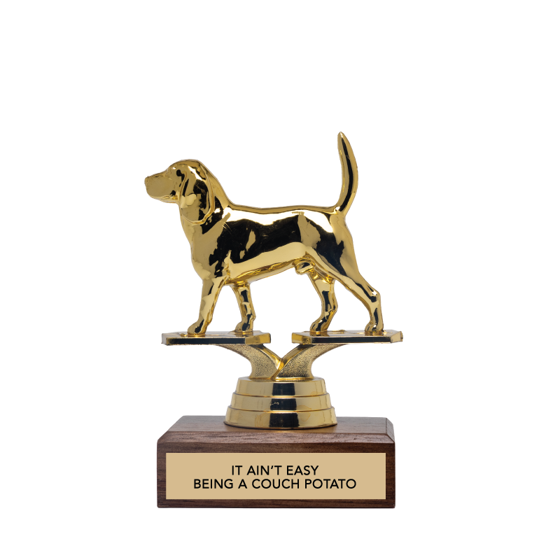 Couch Potato Trophy 