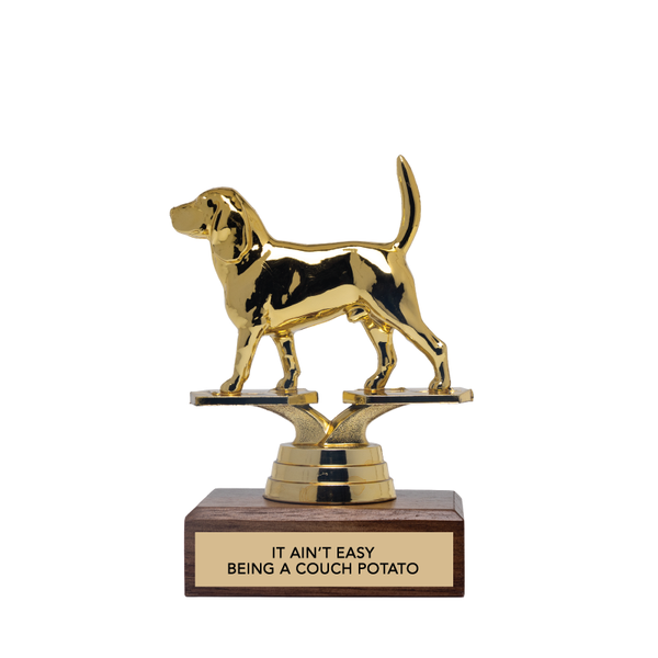 Couch Potato Trophy 