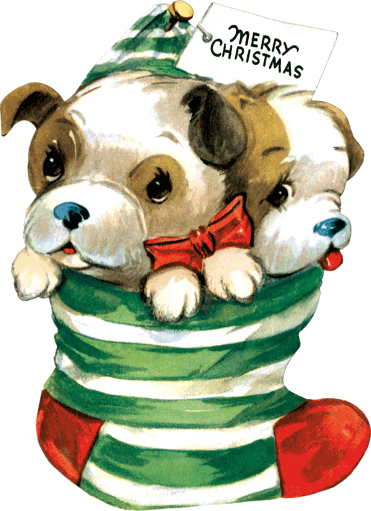 Christmas Cheer Die Cut Greeting Card Packet