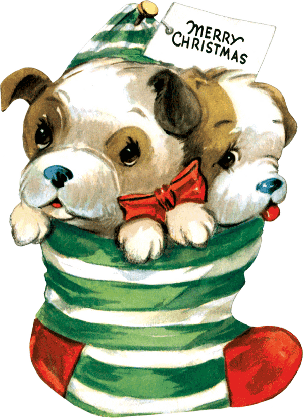 Christmas Cheer Die Cut Greeting Card Packet