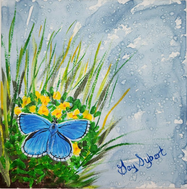 Adonis Butterfly Blue Ink