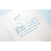a Gem Fountain Pen Ink | Project Ink Vol. 5, No. 029