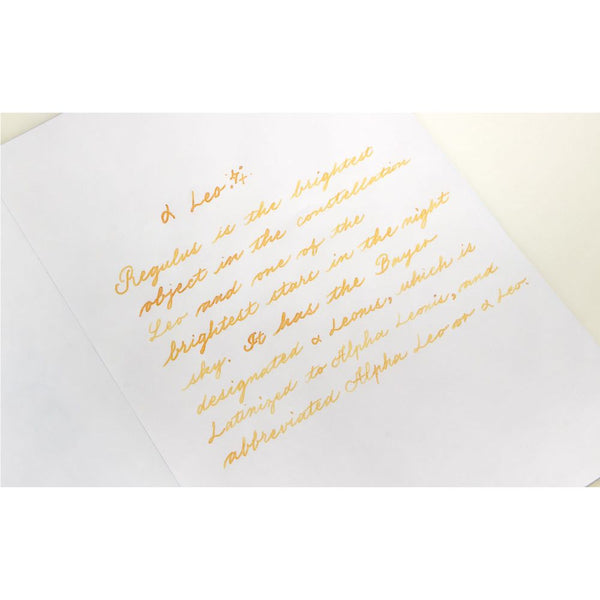a Leo Fountain Pen Ink | Project Ink Vol. 5, No. 031
