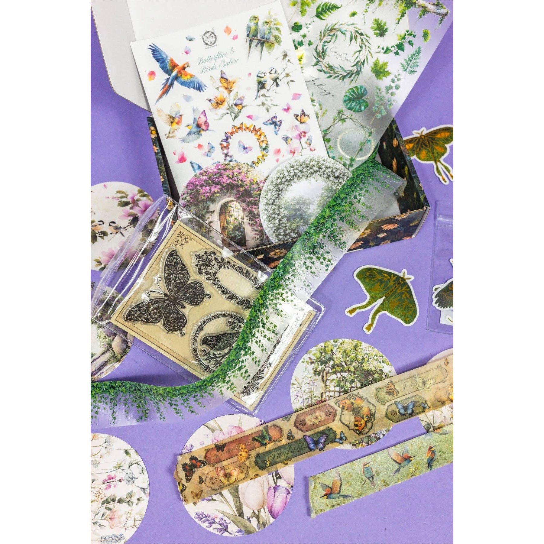 Birds, Foliage & Butterflies Box