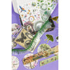 Birds, Foliage & Butterflies Box