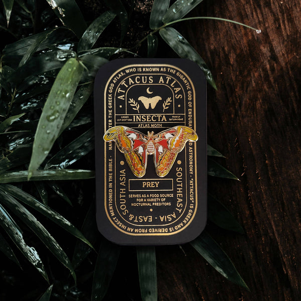 {coming soon!} Atlas Moth Educational Insect Enamel Pin