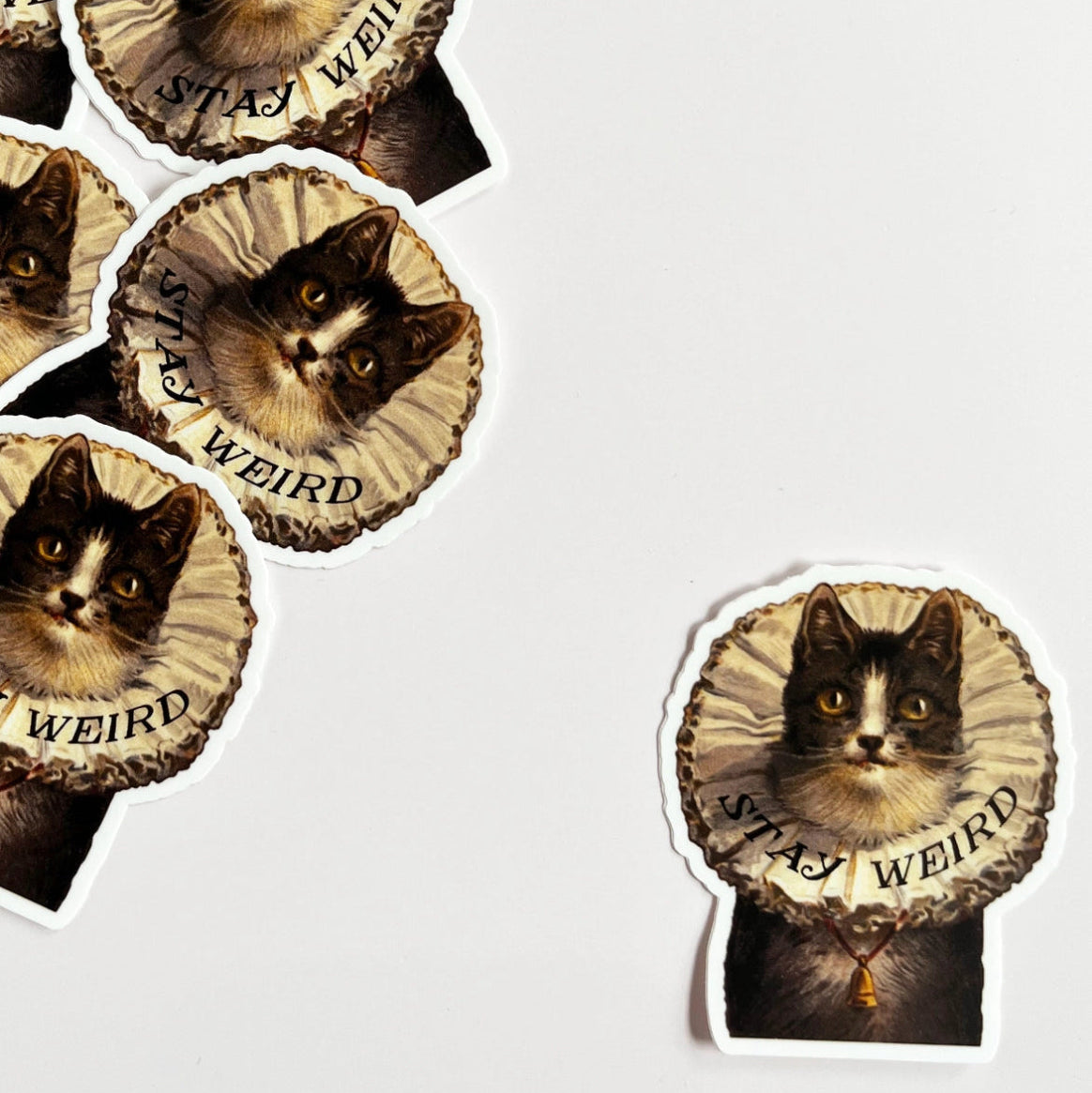 Stay Weird Elizabethan Cat 3