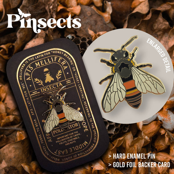 {coming soon!} Western Honey Bee Educational Insect Enamel Pin