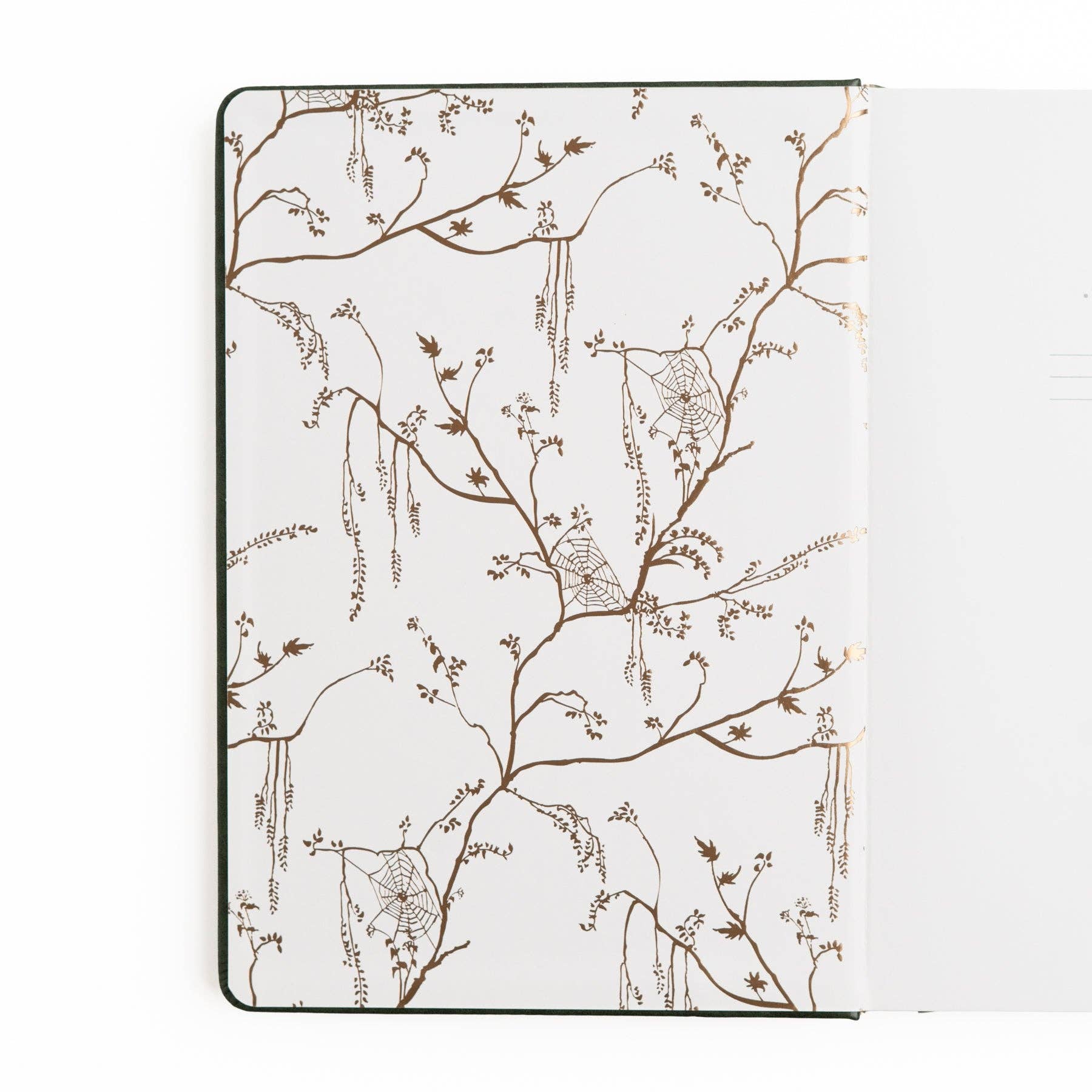Apothecary Shelf Notebook {preorder}
