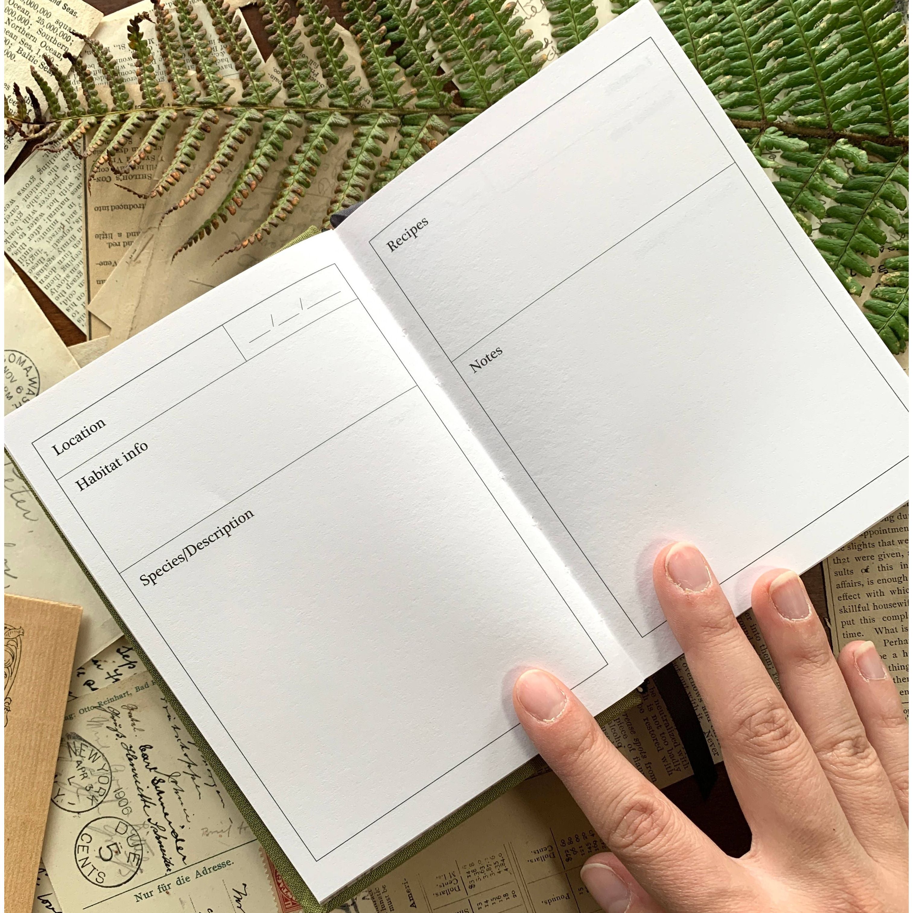 Green Foraging A6 Field Journal