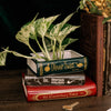 Sherlock Stacked Book Planter