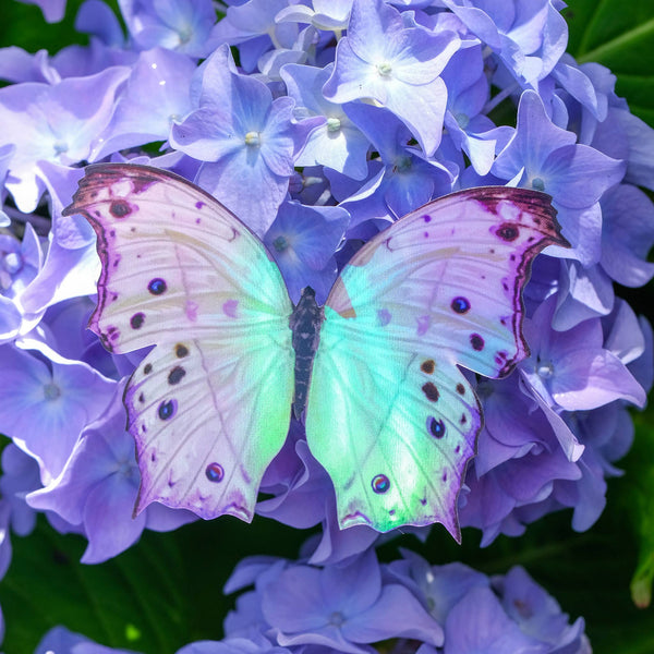 Wanderer Holographic Butterfly Sticker Set