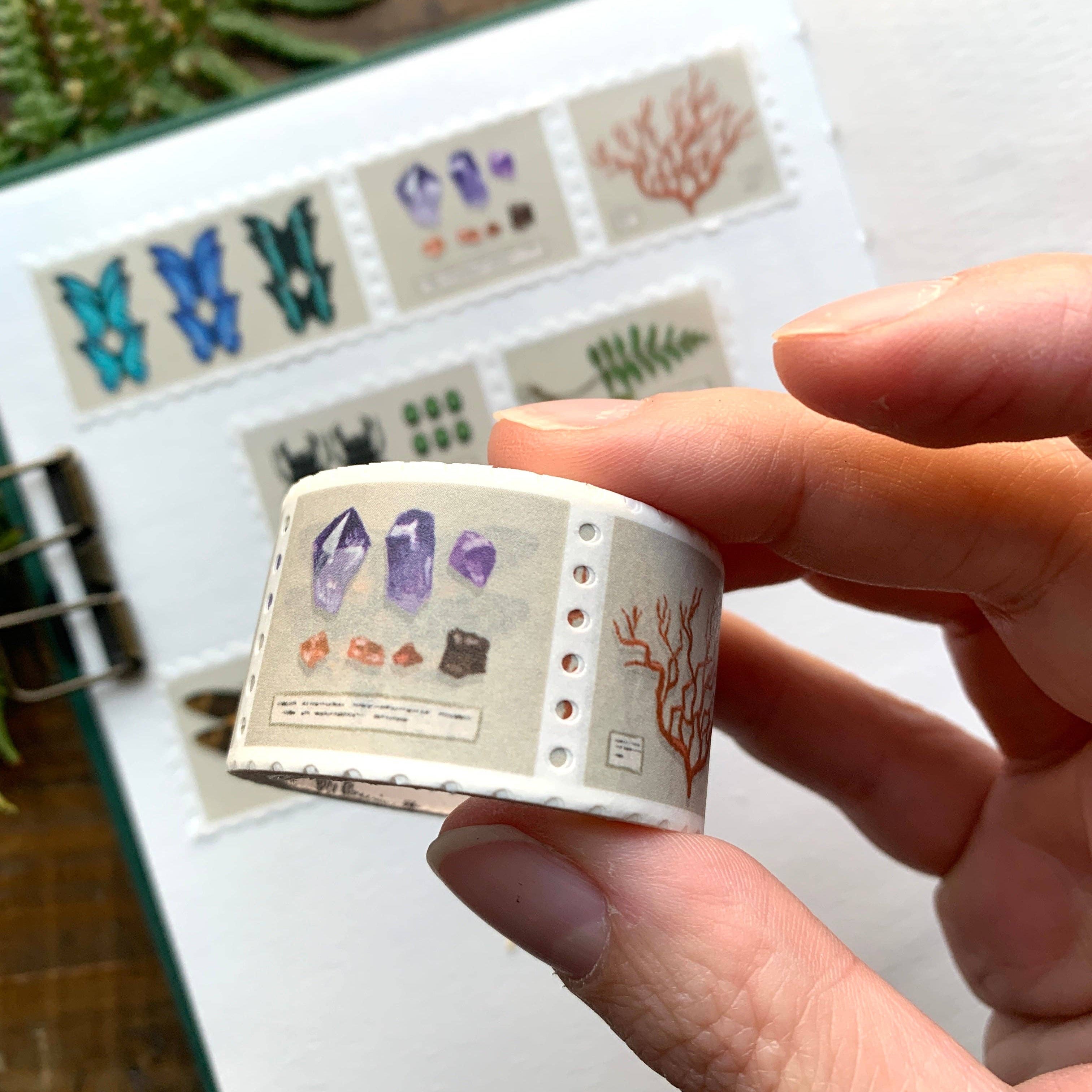 Specimen Drawer Perforated Stamp Washi Tape