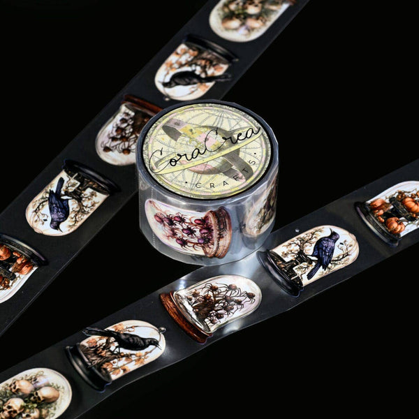 Specimen Display Domes PET Tape