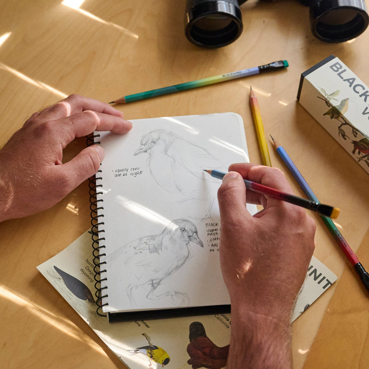 A Tribute to Birding | Blackwing Pencils Volume 458 {Set of 12} | Limited Edition