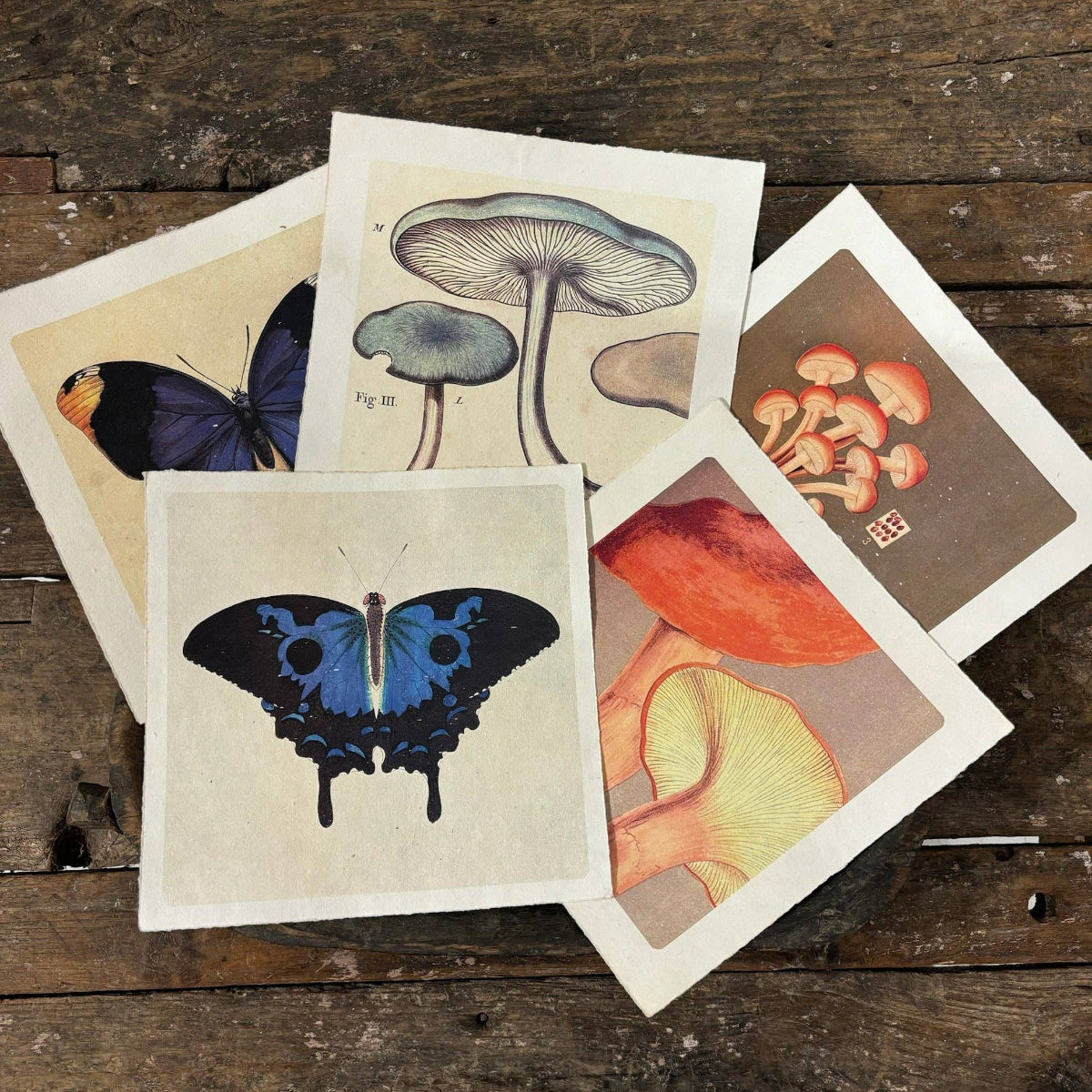 Dancing Butterflies 11x11 Art Print on Handmade Paper | Flora & Fauna Collection