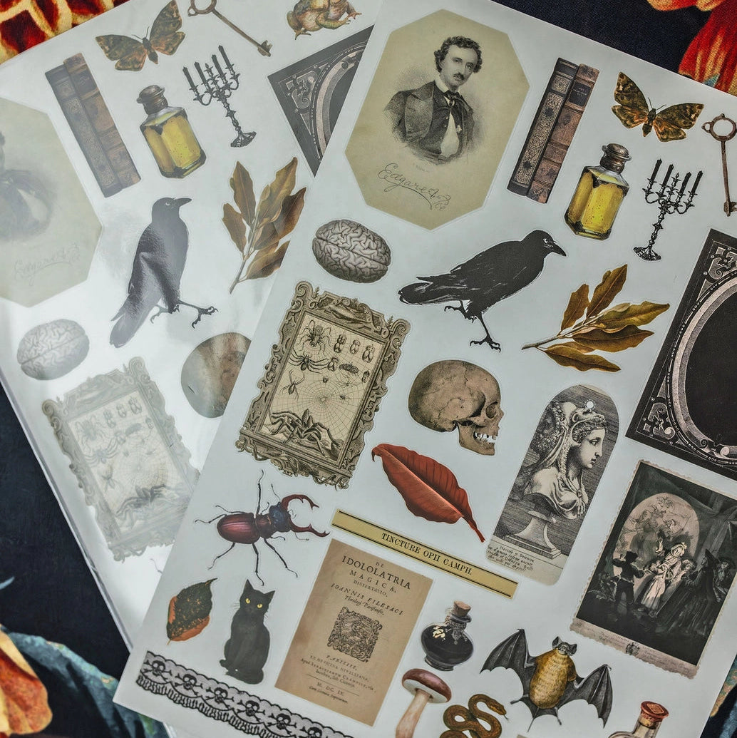 Curiosities A5 Clear Sticker Sheet