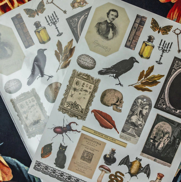 Curiosities A5 Clear Sticker Sheet