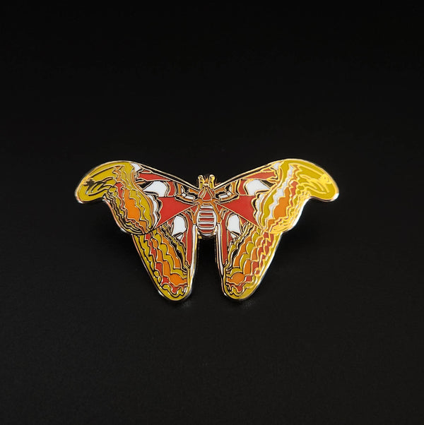 {coming soon!} Atlas Moth Educational Insect Enamel Pin