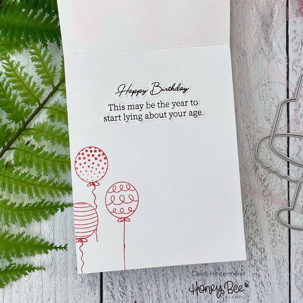 Snarky Birthday Sentiments {Inside} 4x6 Clear Stamp Set