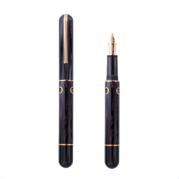 Stylophora Berry Nahvalur Nautilus Ebonite Fountain Pen