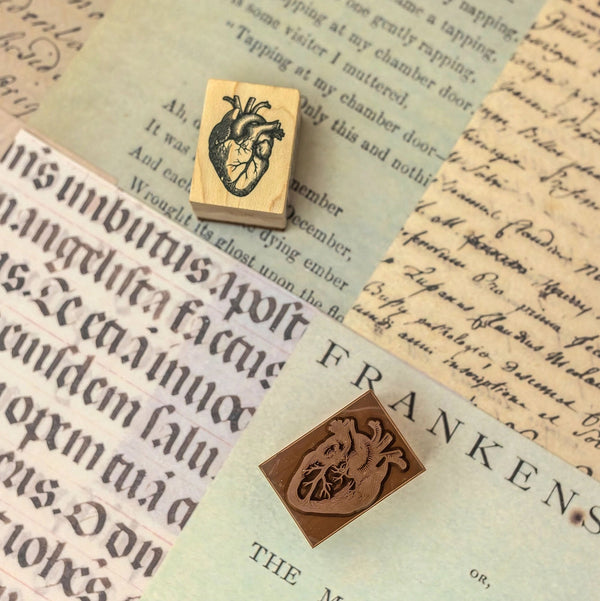Anatomical Heart Wood-Mounted Rubber Stamp